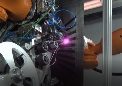 Mikrosam Dual Robot TPISC