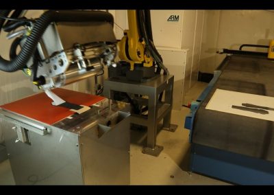 ARM Automated removal of backing paper